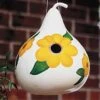 Birdhouse Gourd Seeds -Parkseed Shop 00908 pk p1