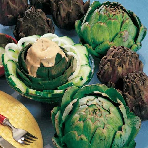 Imperial Star Artichoke Seeds (P) Pkt Of 20 Seeds 5 Imperial Star Artichoke Seeds (P) Pkt Of 20 Seeds - Image 3