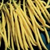 Rocdor Bush Bean Seeds 1 Rocdor Bush Bean Seeds -Parkseed Shop 05037