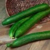 Tasty Green Hybrid Cucumber Seeds (P) Pkt Of 30 Seeds -Parkseed Shop 05110 pk p1
