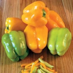 Flavorburst Hybrid Pepper Seeds