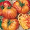 Big Rainbow Tomato Seeds (P) Pkt Of 30 Seeds -Parkseed Shop 05430 pk p1