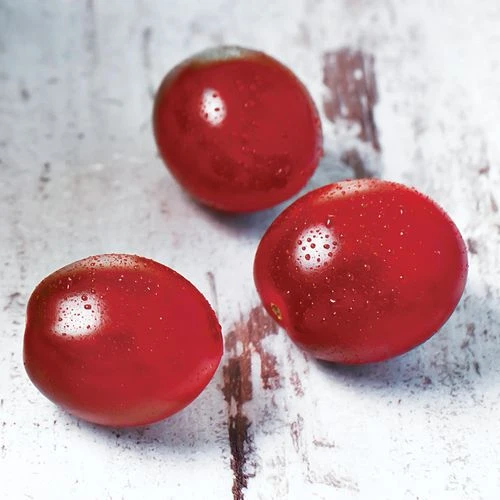 Chocolate Cherry Tomato Seeds (P) Pkt Of 30 Seeds 5 Chocolate Cherry Tomato Seeds (P) Pkt Of 30 Seeds - Image 3