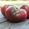 Cherokee Purple Organic Tomato Seeds (P)Â Pkt Of 30 Seeds 1 Cherokee Purple Organic Tomato Seeds (P)Â Pkt Of 30 Seeds -Parkseed Shop 05814 pk p1