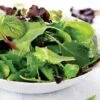Salad Bowl Mix Organic Greens Seeds (P) Pkt Of 200 Seeds -Parkseed Shop 05842 pk p1