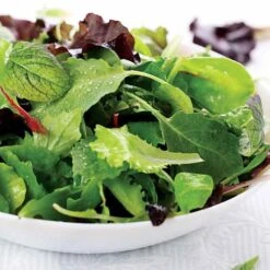 Salad Bowl Mix Organic Greens Seeds (P) Pkt Of 200 Seeds