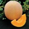 Hale's Best Organic Melon Cantaloupe Seeds (P) Pkt Of 20 Seeds -Parkseed Shop 05843 pk p1