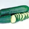 Marketmore Select Organic Cucumber Seeds (P) Pkt Of 20 Seeds -Parkseed Shop 05847 pk p1