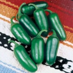 Early Jalapeño Organic Pepper Seeds (P) Pkt Of 25 Seeds