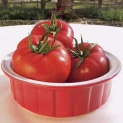 Mater Sandwich Organic Hybrid Tomato Seeds (P) Pkt Of 20 Seeds -Parkseed Shop 05943 PK P1 1