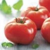 Mater Sandwich Organic Hybrid Tomato Seeds (P)Â Pkt Of 20 Seeds 2 Mater Sandwich Organic Hybrid Tomato Seeds (P)Â Pkt Of 20 Seeds -Parkseed Shop 05943 pk p1
