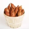 Vineless Puerto Rico Sweet Potato Slips -Parkseed Shop 44960 pk 25