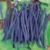 Dwarf Velour French Bush Bean Seeds -Parkseed Shop 5018