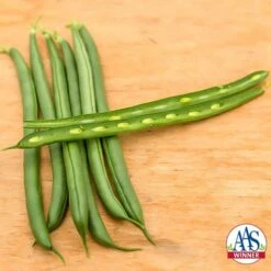 Seychelles Pole Bean Seeds -Parkseed Shop 52403 2