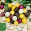 Halloween Blend Radish Seeds -Parkseed Shop 52419 pk p1