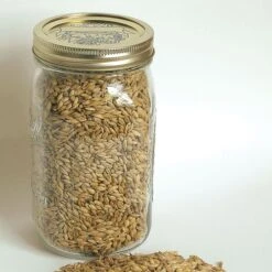 Quest Organic Barley Cover Crop Seeds