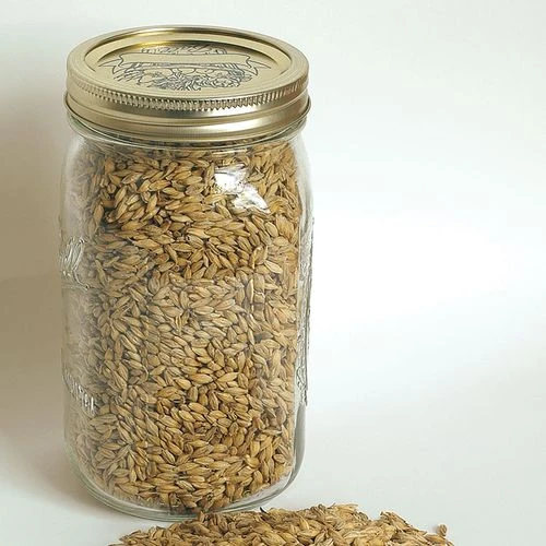 Quest Organic Barley Cover Crop Seeds 3 Quest Organic Barley Cover Crop Seeds