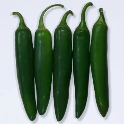 Pathfinder Serrano Pepper Seeds -Parkseed Shop 52479 PK P1 1