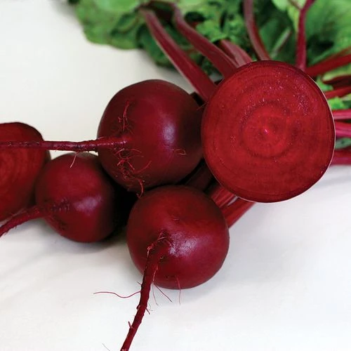Robin Hybrid Beet Seeds 3 Robin Hybrid Beet Seeds
