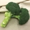 Green Magic Hybrid Broccoli Seeds -Parkseed Shop 52493