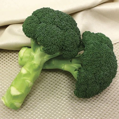 Green Magic Hybrid Broccoli Seeds 3 Green Magic Hybrid Broccoli Seeds