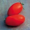 Supremo Hybrid Tomato Seeds -Parkseed Shop 52528