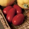 Supremo Hybrid Tomato Seeds (P) Pkt Of 10 Seeds -Parkseed Shop 52528 pk p1