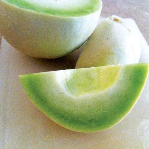 Dulce Nectar Melon Honeydew Seeds (P) Pkt Of 25 Seeds 2 Dulce Nectar Melon Honeydew Seeds (P) Pkt Of 25 Seeds