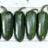 Emerald Fire Hybrid Pepper Seeds 2 Emerald Fire Hybrid Pepper Seeds -Parkseed Shop 52656 PK 100