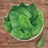 Baby Leaf Riverside Spinach Seeds (P) Pkt Of 200 Seeds -Parkseed Shop 52725 pk p1