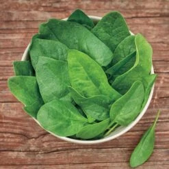 Baby Leaf Riverside Spinach Seeds (P)Ā Pkt Of 200 Seeds