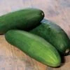 Park's Whopper II Hybrid Cucumber Seeds (P)Â Pkt Of 20 Seeds 1 Park's Whopper II Hybrid Cucumber Seeds (P)Â Pkt Of 20 Seeds -Parkseed Shop 52803 pk p1