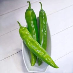 Desperado Hybrid Pepper Seeds -Parkseed Shop 52814 PK P1 2