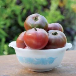 Purple Boy Hybrid Tomato Seeds (P) Pkt Of 10 Seeds -Parkseed Shop 52823 PK P1 3