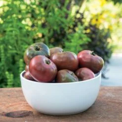 Purple Boy Hybrid Tomato Seeds (P) Pkt Of 10 Seeds -Parkseed Shop 52823 PK P1 4