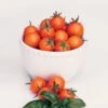 Sun Gold Hybrid Cherry Tomato Seeds -Parkseed Shop 52829 pk p1