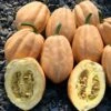 Baked Potato Seeds Winter Squash
