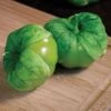 Super Verde Hybrid Tomatillo Seeds 2 Super Verde Hybrid Tomatillo Seeds -Parkseed Shop 52916 PK P1