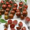 Gum Drop Black F1 Hybrid Cherry Tomato Seeds -Parkseed Shop 52920 PK P1
