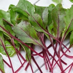 Bull's Blood Heirloom Beet Seeds