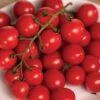 Park's Junior Whopper Red Hybrid Tomato Seeds -Parkseed Shop 52988 PK P1
