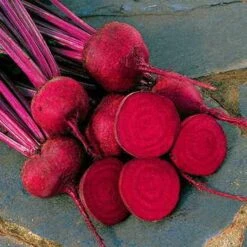 Red Ace Hybrid Beet Seeds -Parkseed Shop 5576